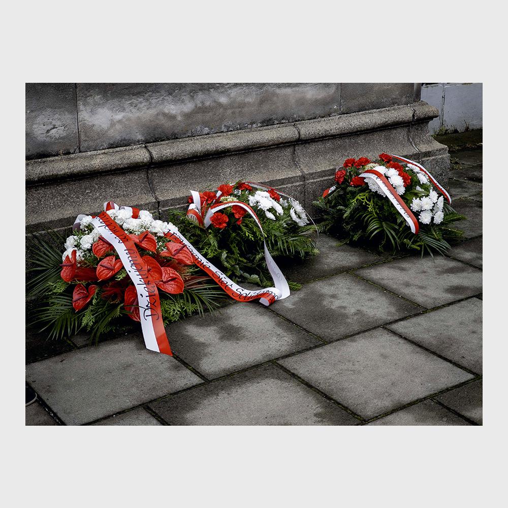 Fot. Jacek Maria Stokłosa