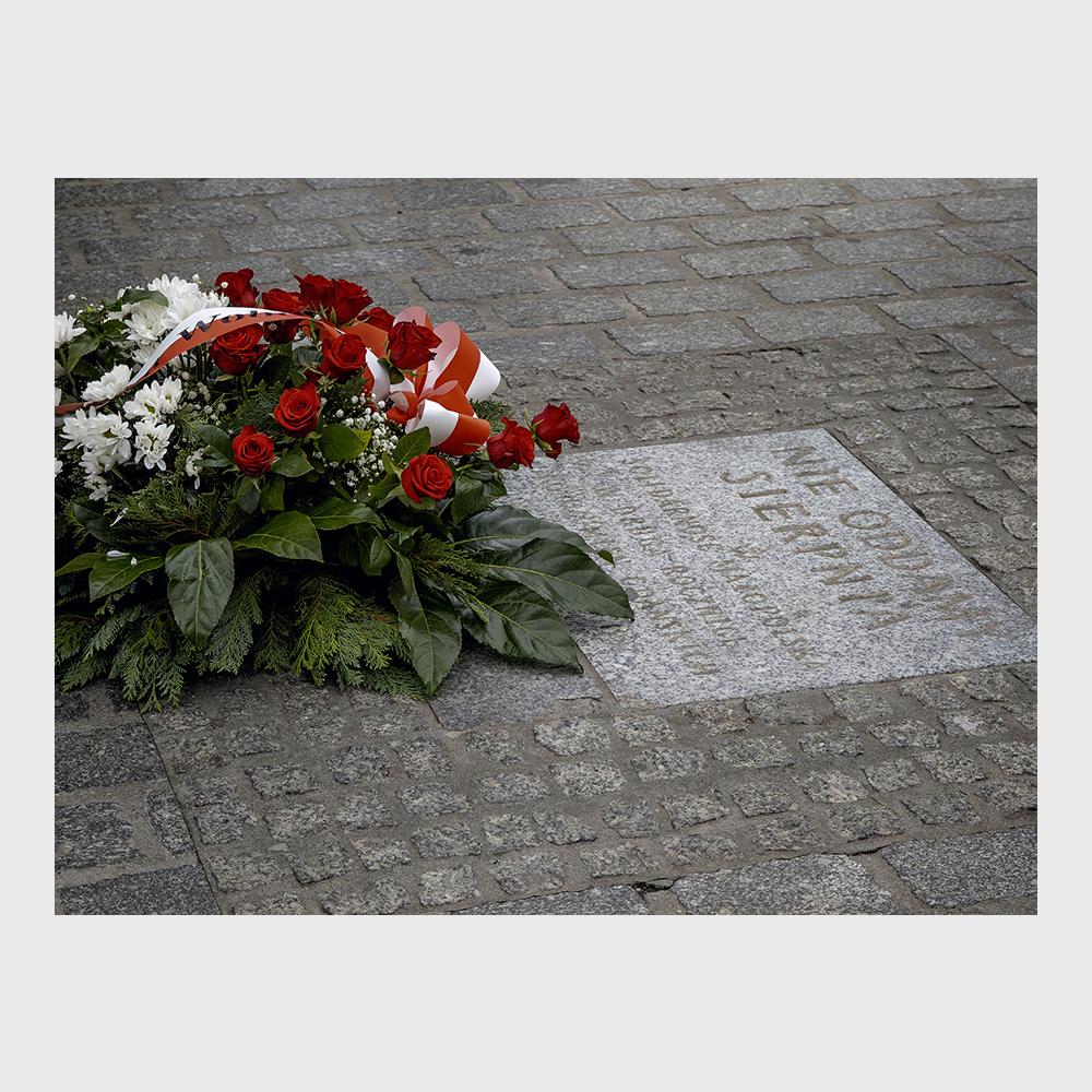 Fot. Jacek Maria Stokłosa